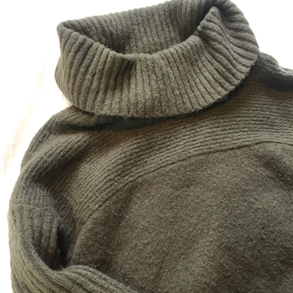 American Eagle Turtleneck Sweater
